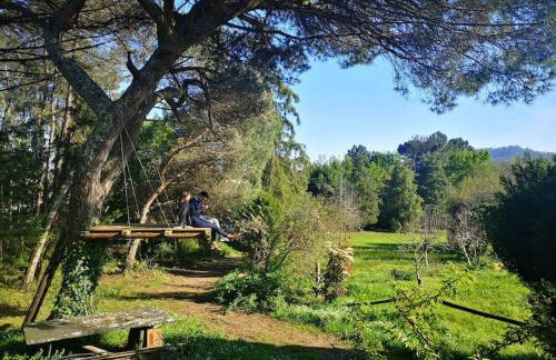 Pine Lodge - direct train to Porto - Foto 4