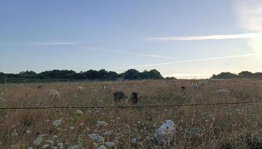 Loralistudios, Maison en bord de mer - Foto 3