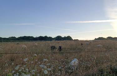 Loralistudios, Maison en bord de mer - Foto 3