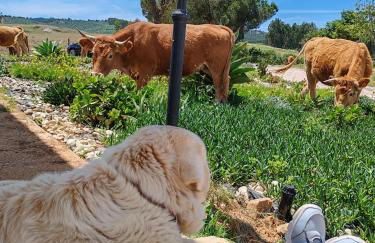 Herdade Monte Novo Do Pocinho - Foto 19