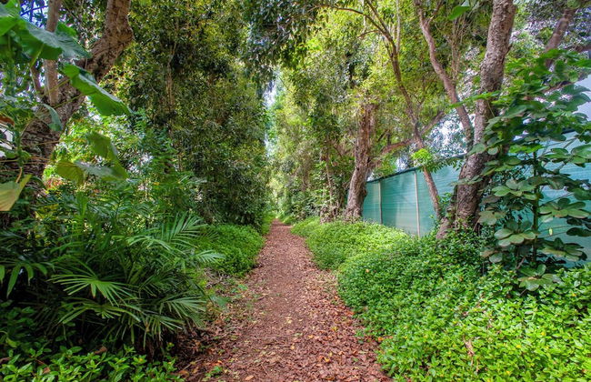 Paniolo 210a - Foto 25