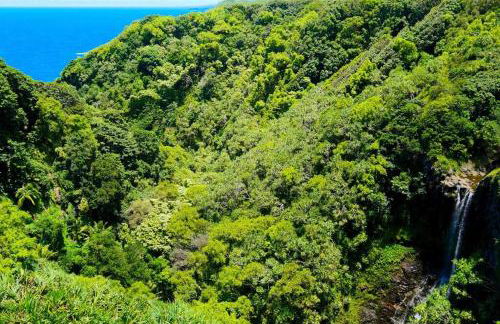 Waterfall House with Ocean Views in Haiku, Maui - Photo 25