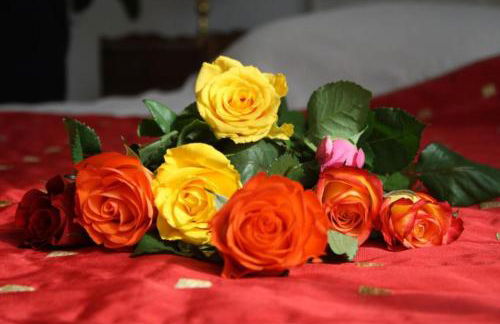 La belle plage - Asnelles - Foto 7