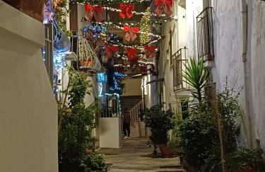 Antoniette-DimorePugliesi - Foto 7