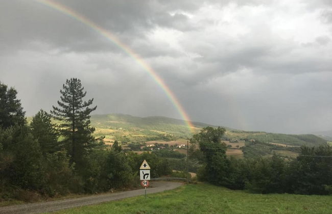 Rustic Serenity Farmhouse - Foto 40