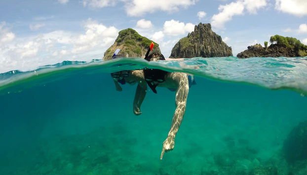 Chercher des poissons dans la baie dos Porcos