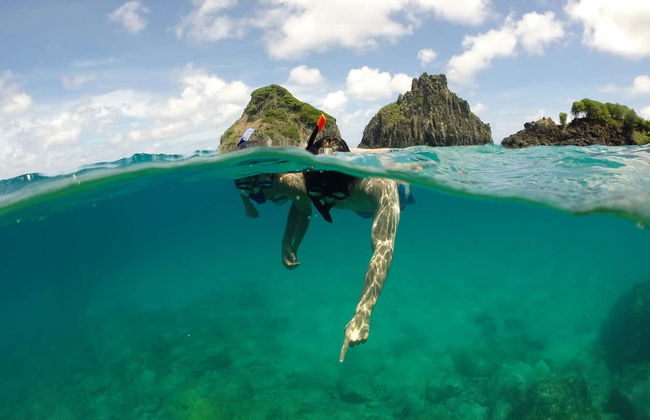 Visite complète de Fernando de Noronha - Photo 3