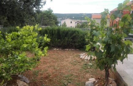 Apartmani Ivan - Foto 35