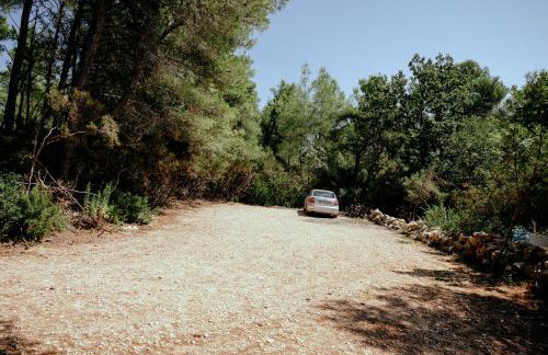 TreeHouses Ljubač Glamping Robinson - Foto 35