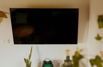 Lipa pod groniem - Photo 22