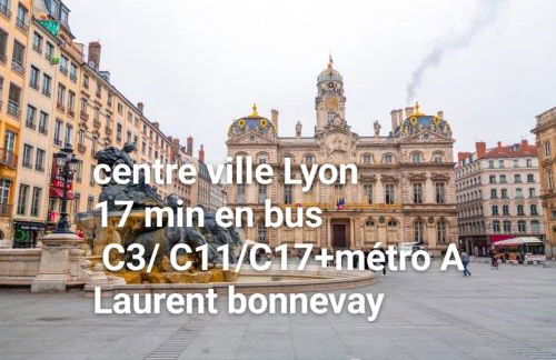 Médipôle T2 avec un garage gratuit sur place, 16min à centre ville Lyon en métro A - Foto 28