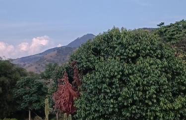 Sítio Bela Vista - Photo 56