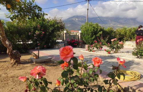 Spedion Kefallonia - Villas with jaccuzzi - Foto 38