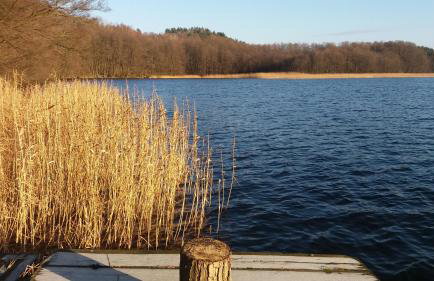 Dom Wakacyjny Kuszewo - Foto 33