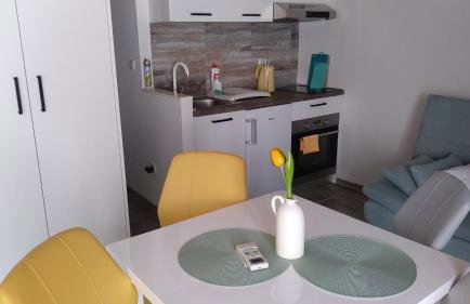FINA M Studio Apartman - Foto 9