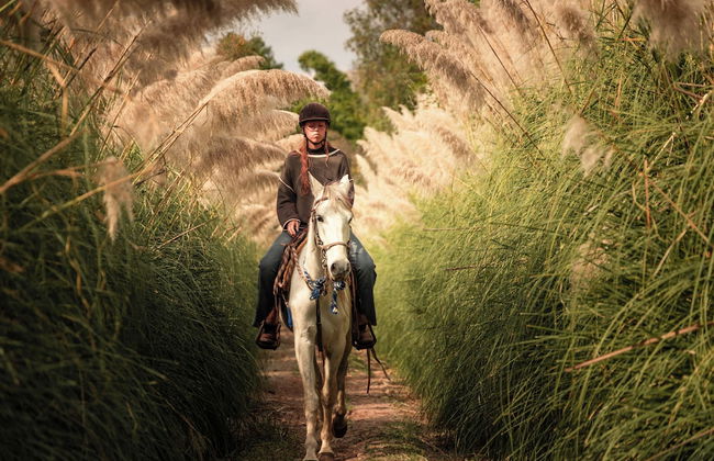 Rancho con Caballos El Reencuentro - Foto 30