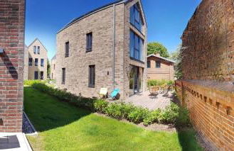 Meeresstern - Photo 43