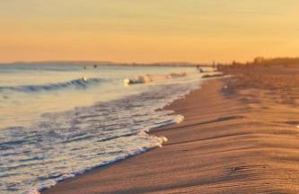 Sable & Pampas - Photo 49