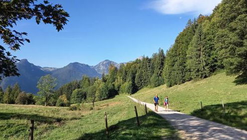 Schmidhauser Hof - Foto 5