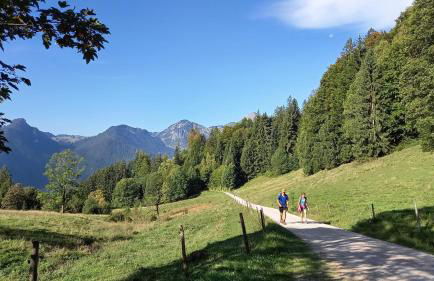 Ferienwohnung Alpenfex - Foto 6