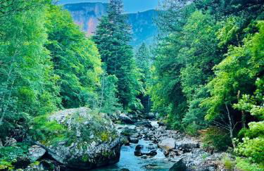 La joue du loup, aux pieds des pistes et vue sur montagnes - Photo 31