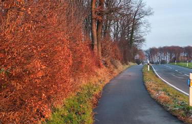 Grand Westfalia - Foto 32