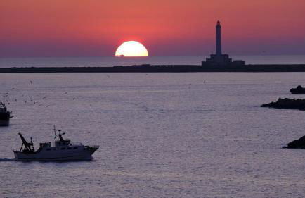 AMA Apartment Conchiglia - Foto 33