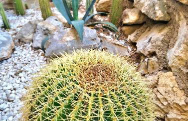 Charming Villa in El Vendrell + Pool - Foto 13