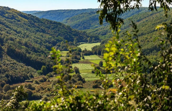 Modern and Spacious Home With Swimming Pool - Foto 38