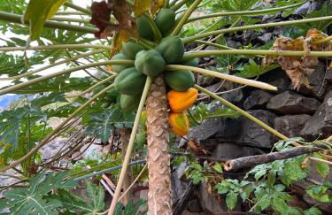 Lovely newly refurbished, 1 bedroom top floor apartment with sea views, fast WI-FI CABLE TV and Netflix - Foto 34