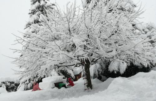 Cal Pastor de Planès - Foto 30