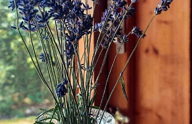 6 Person Holiday Home in Mellerud-by Traum - Foto 25