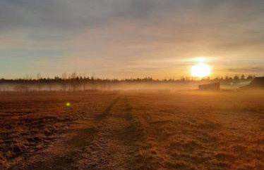 Zagroda w Puszczy - Photo 34