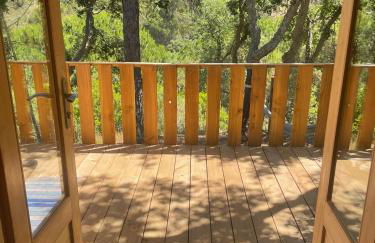 Cabanas de Melides - Foto 16