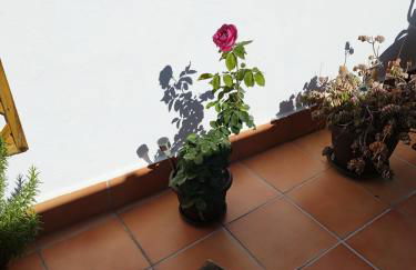 Apartamento Plumaria - Photo 17