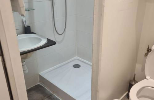 agréables studios avec terrasse sur jardin - Foto 7