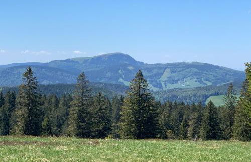 Haus am Sonnenberg,Todtnauberg, Ferienwohnung 105, direkt am Skilift-Skipiste, Nähe Feldberg - Foto 28