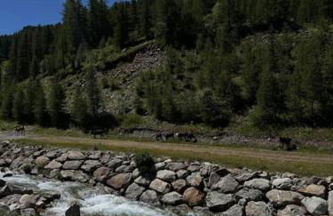 Baby Jane, Studio front de neige - Photo 72