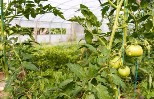 Casa Codesal Apartamentos - Foto 33