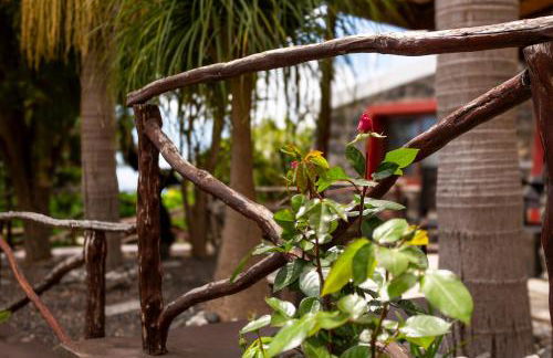 Refúgio do Lourinho - Foto 22