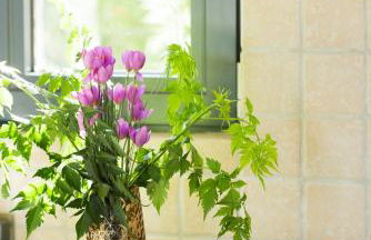 Villa Sania - Foto 21