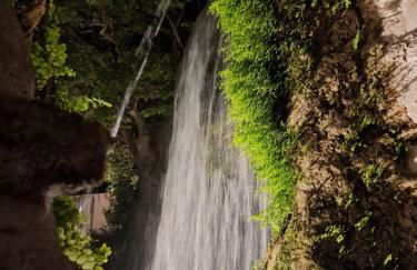 Vicolo d'Este - Photo 54