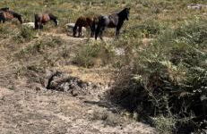 As Leirinhas - Foto 23