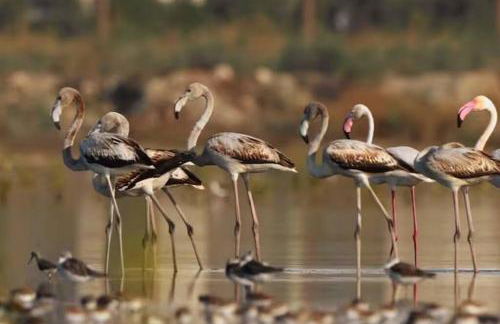 Mini Villa Indépendante à 350m de la mer (LAX) - Foto 23