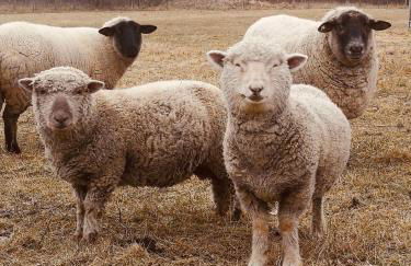 Landhaus Brigitte - Foto 17