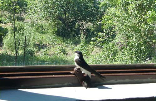 Ferienwohnung A3 - Foto 11