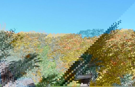 FNM LUXURY BUNGALOVS - Photo 30