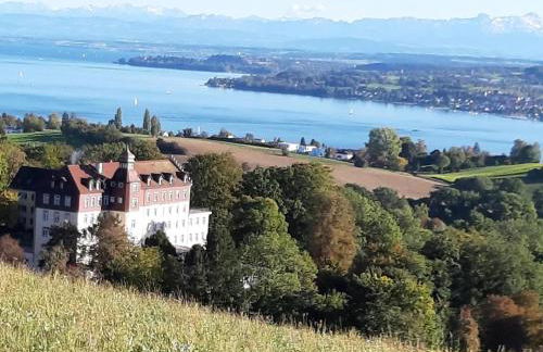 kleines Landhaus Bodensee - Foto 31