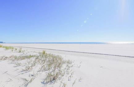 Escape to Raleigh Ave Glamour - Steps to the Beach - Foto 36