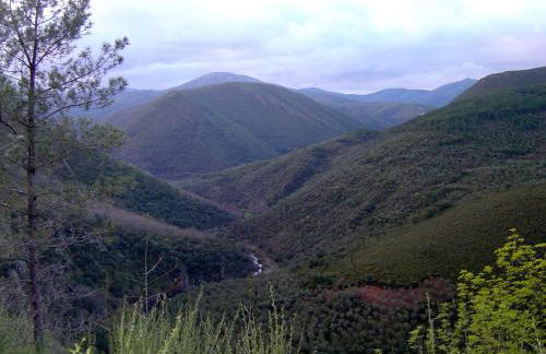 Alojamientos La Herrera - Foto 12